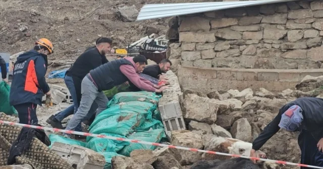 Aksaray da yağmur ve rüzgardan ahır hayvanların üzerine çöktü Aksaray Haberleri