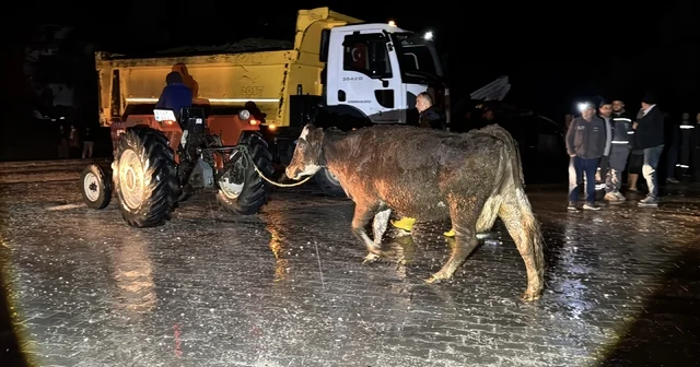 Seydikemer de su baskını: Evler tahliye edildi Muğla Haberleri