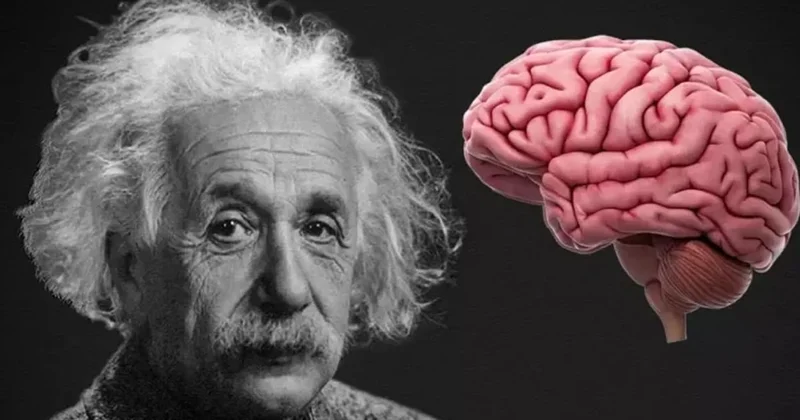 Bu alışkanlıkla düşük zeka göstergesi: Psikologlar açıkladı Sözcü Gazetesi