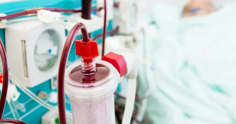 Kanını süzdürdü 2.2 milyon lira ödedi! İşte ünlülerin yeni gençlik formülü