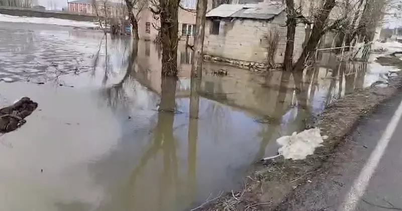 Muş’ta sağanak nedeniyle ev ve ahırları su bastı