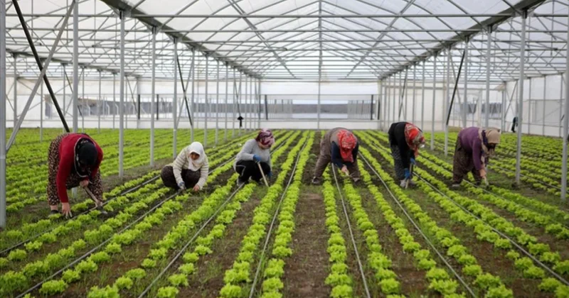 Bölgesel kalkınma için 15,6 milyar liralık yatırım yapılacak