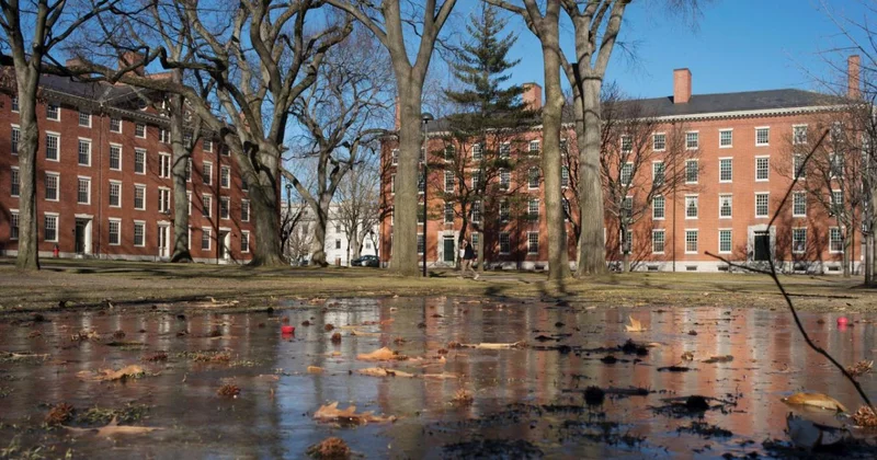 ABD de federal hükümet, öğrenci kabul süreçlerindeki verileri paylaşmadığı gerekçesiyle Harvard a dava açtı