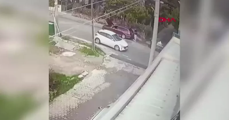 Bodrum’da araziye moloz döken kişiye para cezası