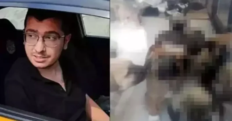 Doktora Hayvan İstismarı Cezasında İndirim