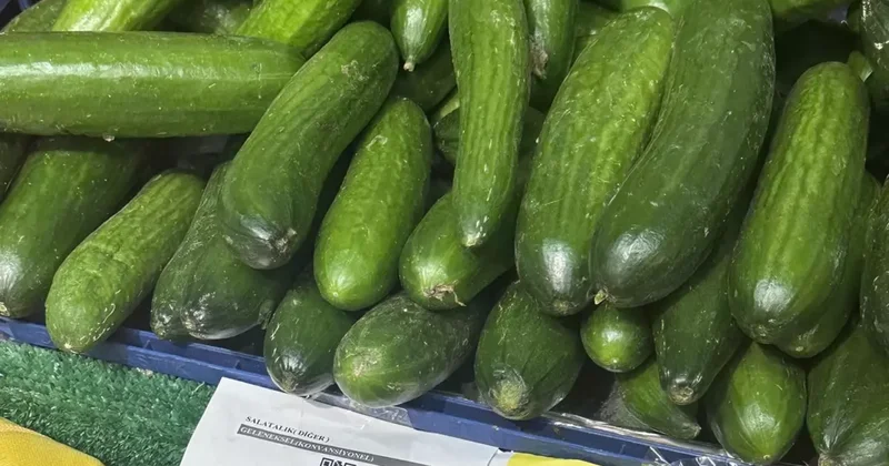 Bu nasıl bir kar marjı? 129 TL ye satılan salatalığın alış fiyatı isyan ettirdi