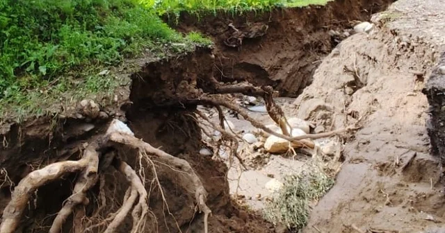 Dere suları yön değiştirdi, zeytinlikte ikinci yatak oluştu Zeytinlikte iki insan boyu yarıklar oluştu Aydın Haberleri
