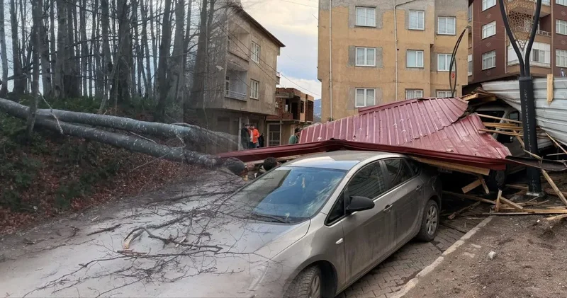 Ordu da fırtına evlerin çatısı uçurdu: Ağaçlar devrildi