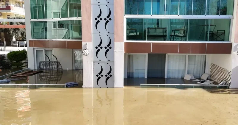 Taşan çaydaki işletme yıkıldı, sulara kapılmak üzere olan bir köpek son anda kurtarıldı