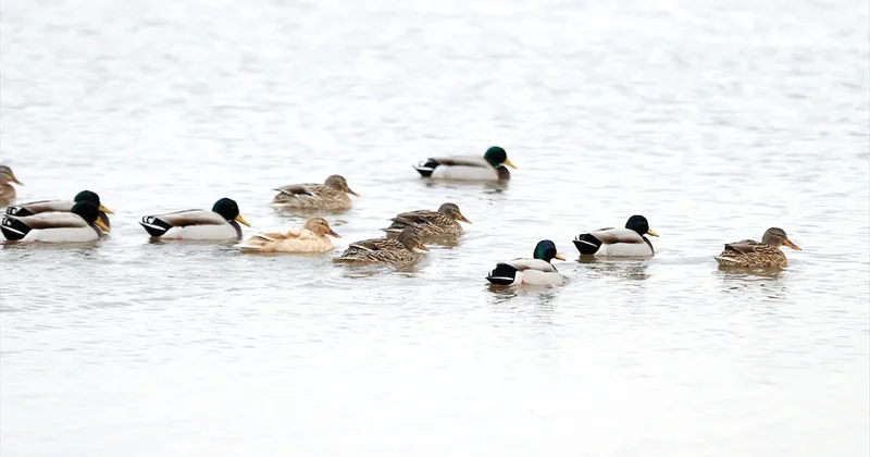 Kırklareli kültür ve doğa rotalarıyla öne çıkıyor Sözcü Gazetesi