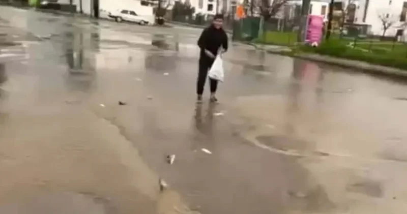 Bodrum’u vuran sağanakta ilginç görüntüler: Gölet taştı vatandaş saçılan balıkları topladı