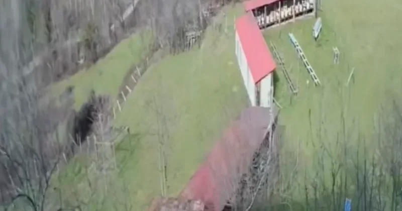 Sinop ta fırtına arı kovanlarına zarar verdi Sözcü Gazetesi