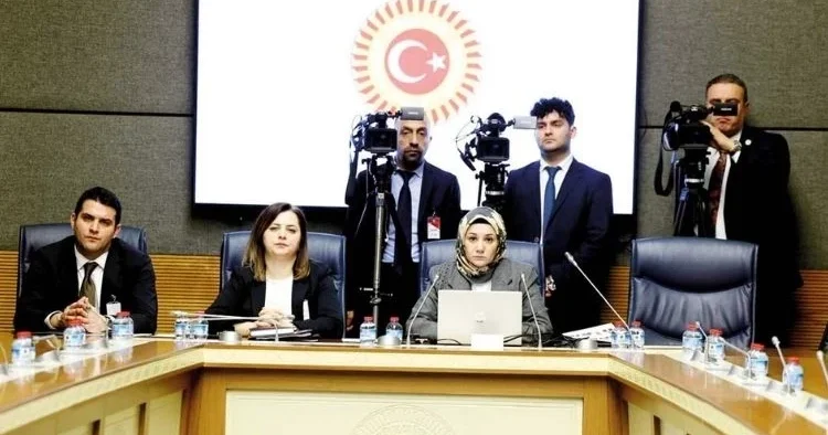 Meclis’te çarpıcı profiller: 17 yaşında 180 suç