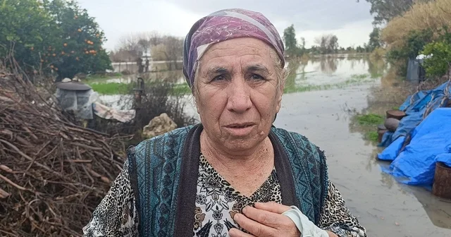 Selde mahsur kalan köpeği AKOM ekipleri kurtardı Adana Haberleri