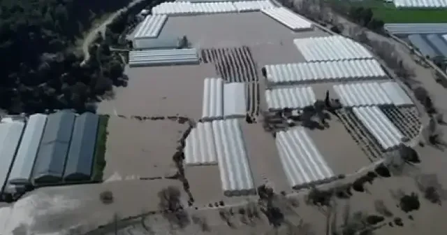 Muğla da su basan seralar havadan görüntülendi VİDEO İZLE