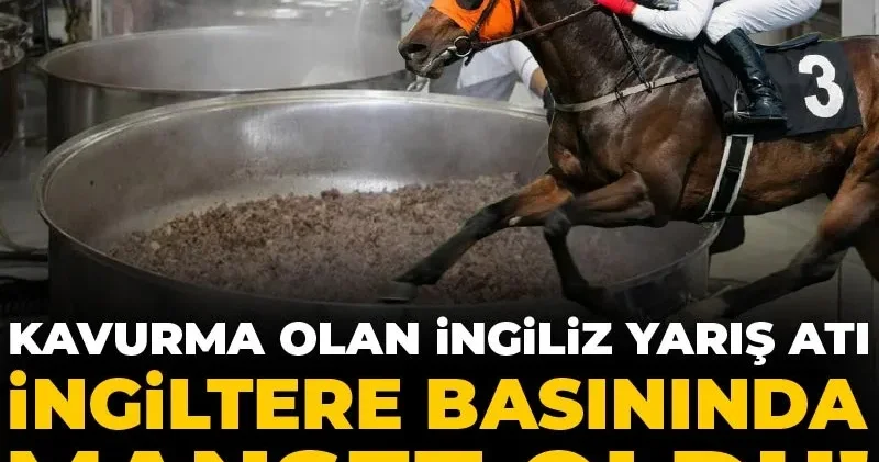 Kavurma olan İngiliz yarış atı İngiltere basınında manşet oldu!