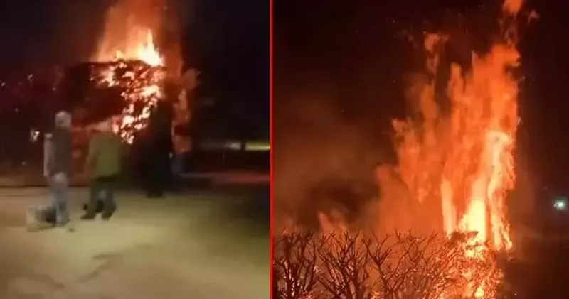 Parkta çıkan yangında ağaç zarar gördü