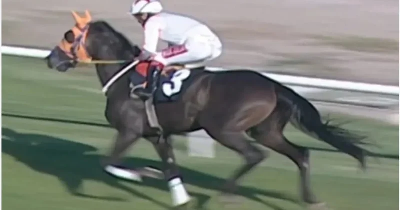 Şampiyon nasıl kavurma kazanına düştü: Latch’ın başına gelenler gün yüzüne çıktı... Sözcü Gazetesi