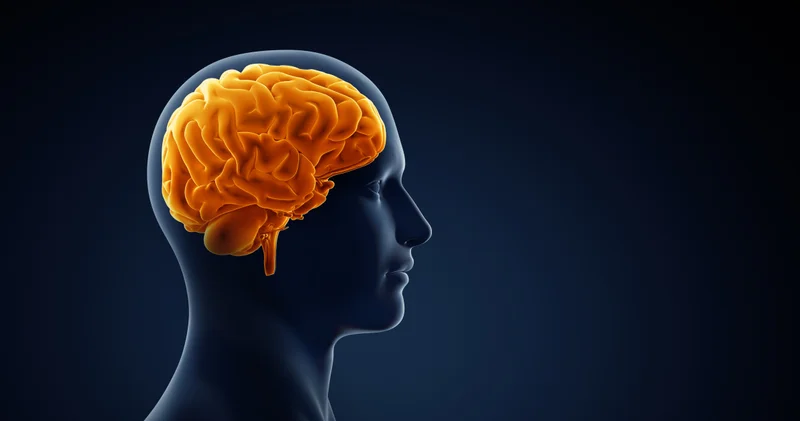 Alzheimer riski yüzde 45 azaltılabiliyor Haberler Sağlık Haberleri