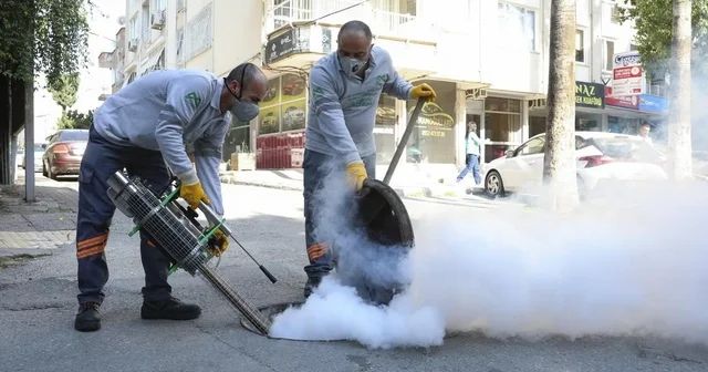 Mersin Büyükşehir Belediyesi kent genelinde haşereyle mücadeleyi sürdürüyor Mersin Haberleri