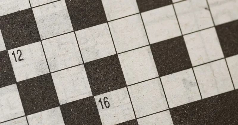 Hayvanların bulmaca çözdüğü ortaya çıktı: Sebebin duyan kulaklarına inanamıyor Sözcü Gazetesi