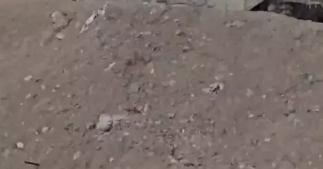 ABD askeri ilk kez paylaştı! Gazzelilere yardım dağıtırken katliam yapıldı