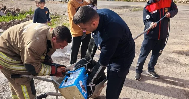 Mahsur kalan köpeklerin yardımına itfaiye yetişti Hatay Haberleri