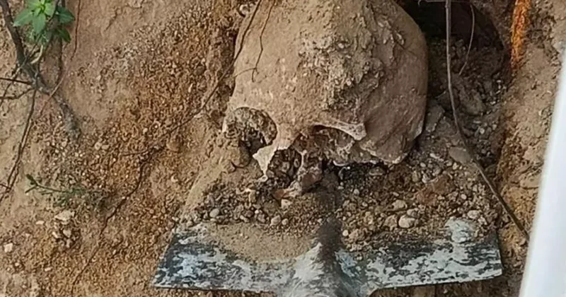 Bahçede yapılan kazıda insan kafatası ve kemikler bulundu