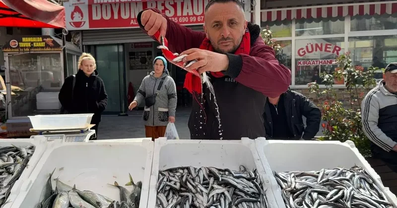 Zonguldak ta balık tezgahlarında Ramazan mesaisi; hamsi 100 liradan satılıyor