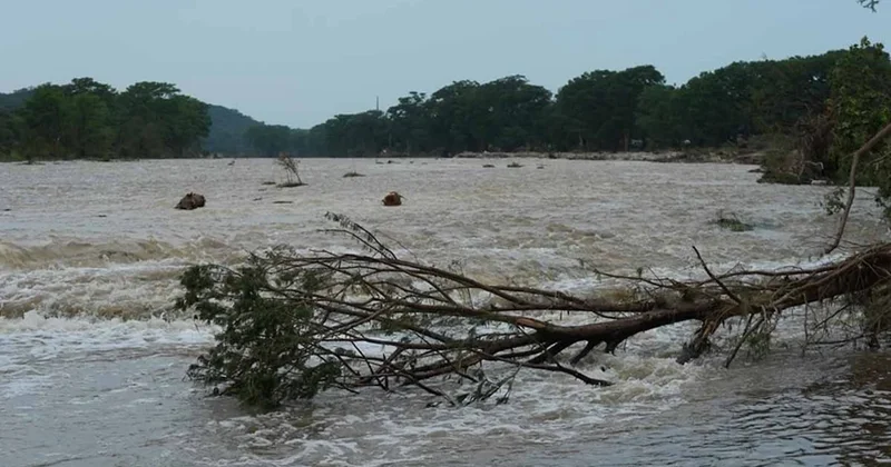 Ani seller artık önceden bilinecek Sözcü Gazetesi