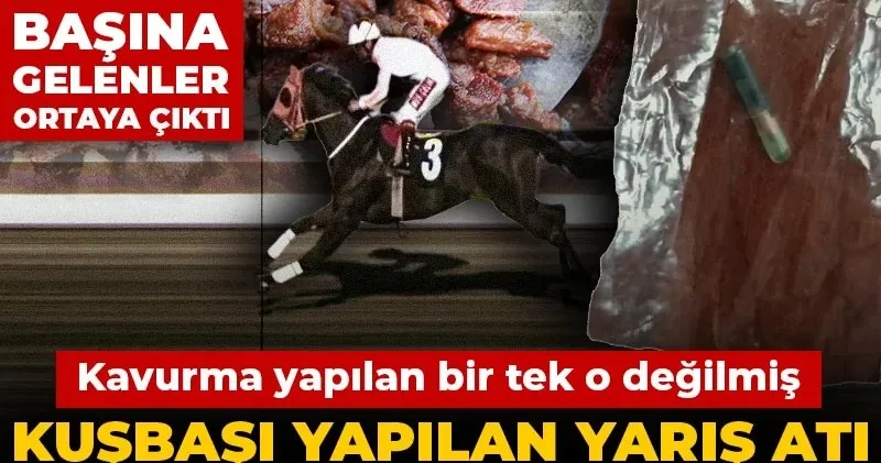 Kuşbaşı yapılan yarış atı 50 bin liraya satılmış! Kavurma yapılan bir tek o değilmiş... Latch ın başına gelenler ortaya çıktı