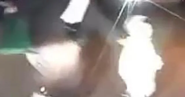 Annesinin elinden kaçıp yola koşan çocuk kazadan kurtuldu İzmir Haberleri