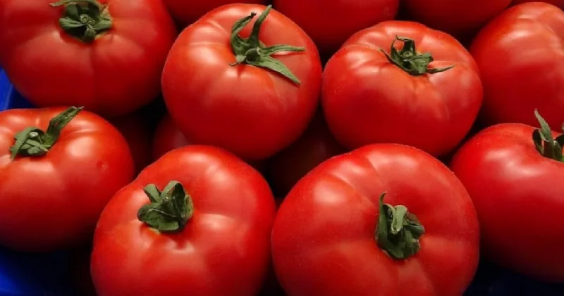 Domatesi sakın böyle tüketmeyin: Zehir saçıyor Sözcü Gazetesi
