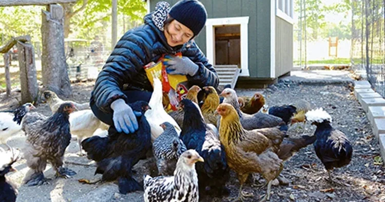 Yaş alıp oyunculuk teklifleri azalınca mektepli çiftçi oldu... Şimdi tavukların nasıl daha çok yumurtlayacağını hesaplıyor!