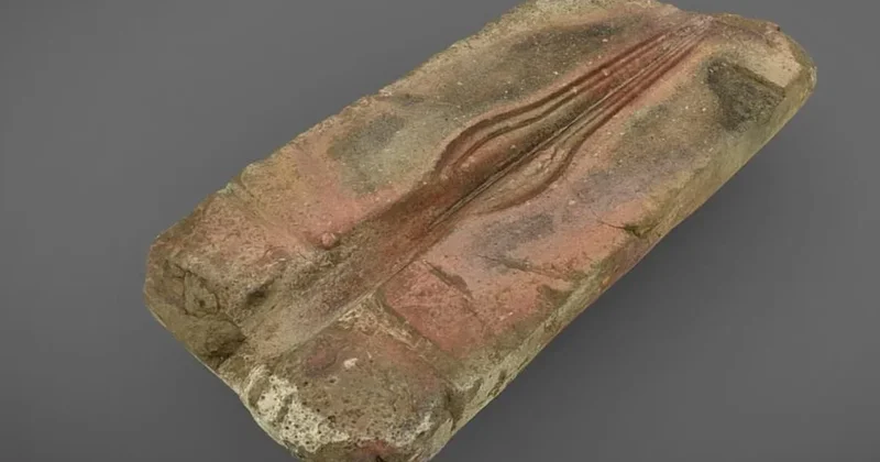 Bahçesindeki taşın bir hazine olduğunu yıllar sonra öğrendi Sözcü Gazetesi