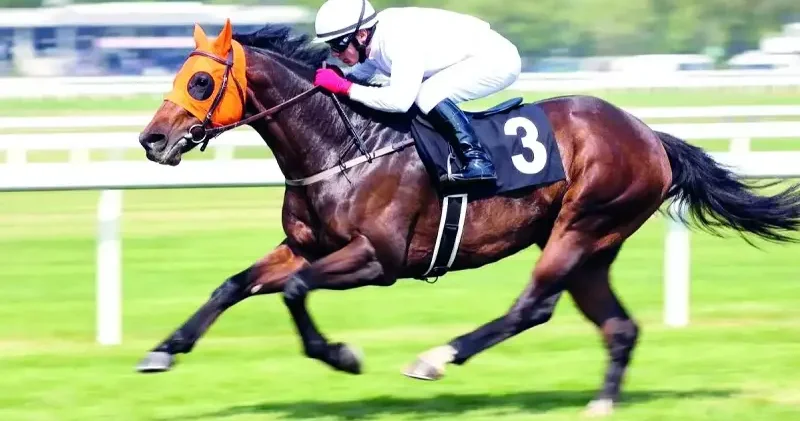 Şampiyon nasıl kavurma kazanına düştü: 50 bin liraya markete satmışlar Yerel Gündem Haberleri