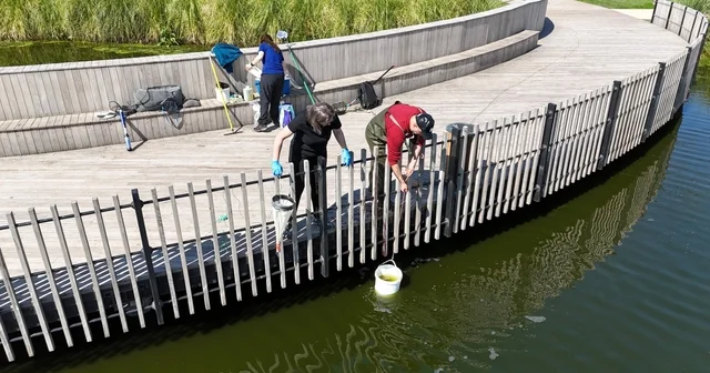 İzmit Millet Bahçesi göletinde bilimsel iyileştirme çalışması başladı Kocaeli Haberleri