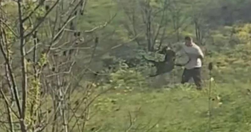 Avcılar da köpeğe işkence: Kemerle dövüp havaya savurdu!