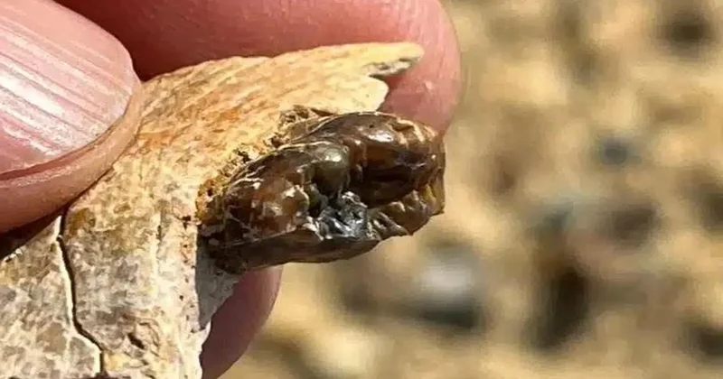 Ülkenin en unutulmuş kısmında bulundu: İşte önemi Sözcü Gazetesi