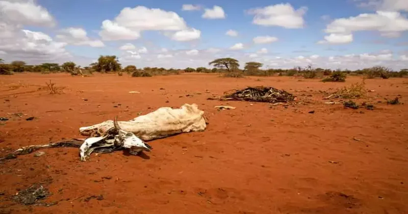 33 ülke sessiz felaket raporunda! Türkiye de listede, 2 milyar insan krizle karşı karşıya