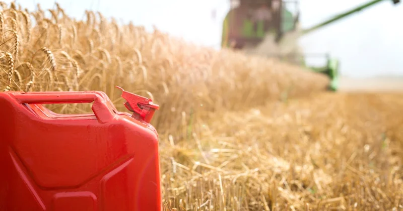 3 dünya devi büyük tehlikeyi açıkladı: Uzun yıllar devam edebilir Sözcü Gazetesi