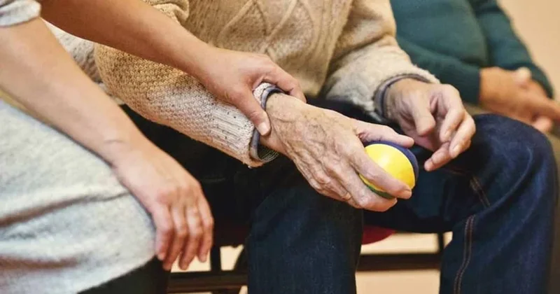 Sofraya sadece 2 besini eklemek demansta 4 yıl kazandırıyor Sözcü Gazetesi