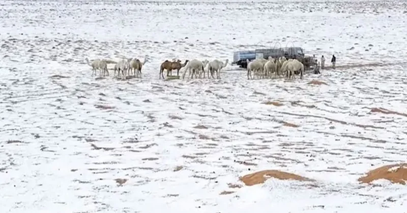 Riyad da Çöller Doluyla Beyaza Büründü