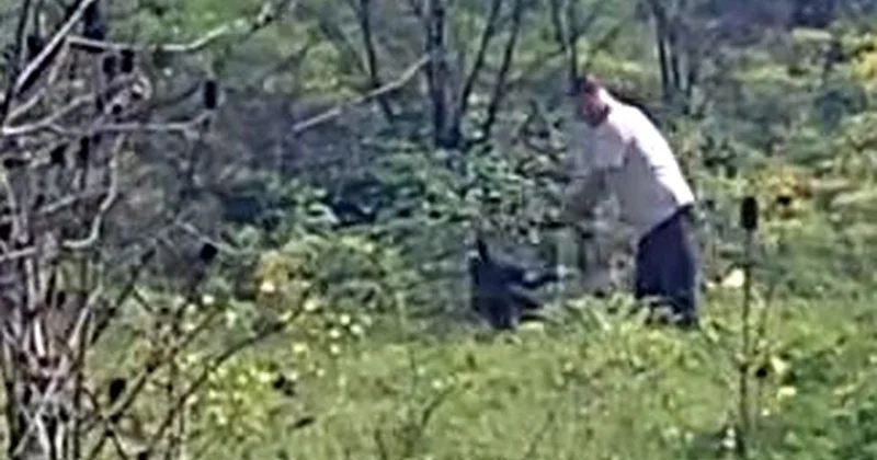 Avcılar da köpeğe kemerle şiddet uygulayan şüpheli aranıyor