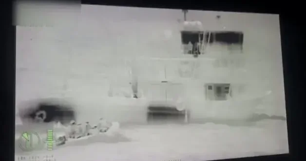 İstanbul açıklarında 200 kilogram skunk ele geçirildi