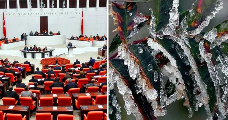 Zirai dona karşı tedarik zinciri hamlesi: Risklere karşı yeni yol haritası Ekonomi Haberleri