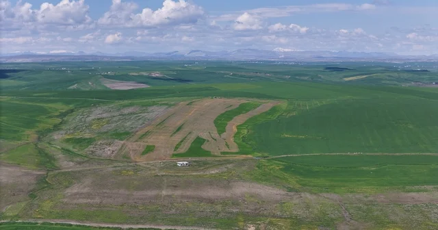 Jandarma eşliğinde ektiği 250 dönüm tarla iddiaya göre akrabaları tarafından ilaçlanarak kurutuldu Diyarbakır da 250 dönüm ekili tarla kimliği belirsiz kişi veya kişilerce ilaçlanarak kurutuldu Diyarbakır Haberleri