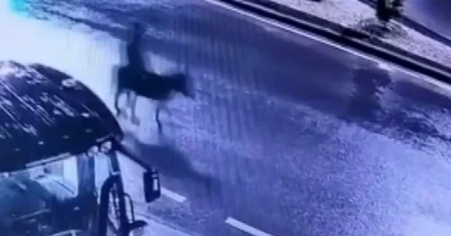 Kuyumcuyu soyup eşekle kaçtı VİDEO İZLE