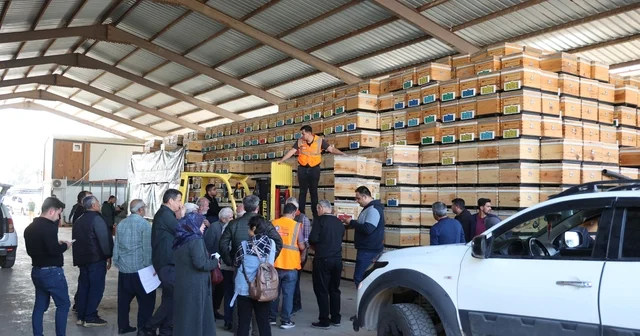 Büyükşehirden üreticiye arı kovanı desteği Antalya Haberleri
