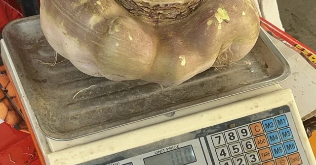 Batman da dev turp görenleri şaşırttı Batman Haberleri